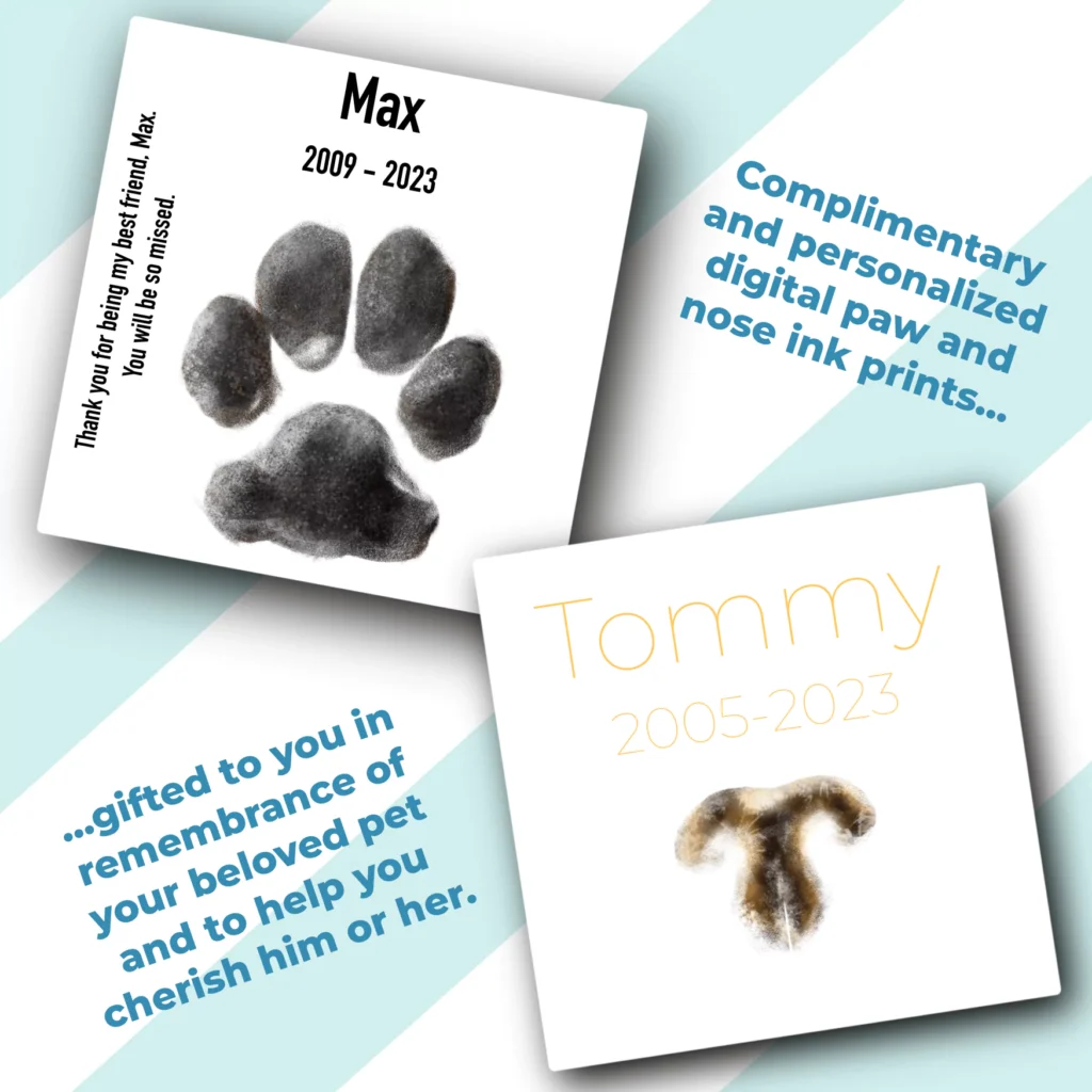Examples of memorial digital ink paw and nose prints, which are included in HolisticalVets' in-home pet euthanasia services in Burlington County, New Jersey