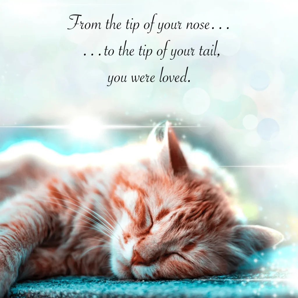 Sleeping orange cat peacefully at home, representing compassionate in-home pet euthanasia by HolisticalVets in Central and South Jersey