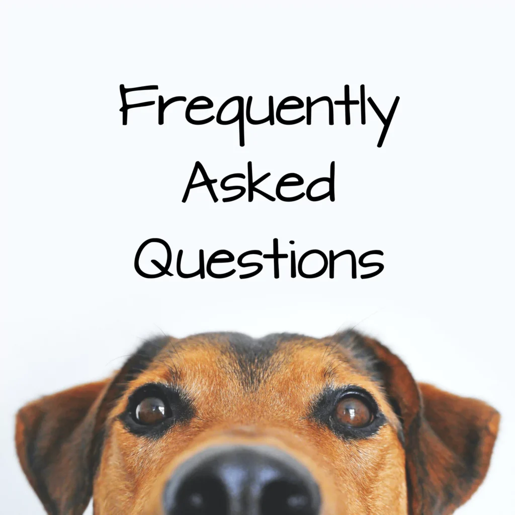 Dog looking at the camera with the words frequently asked questions above his head