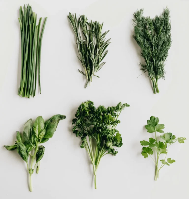 Dried herbal ingredients