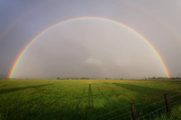 A peaceful rainbow arching over a quiet field, symbolizing comfort, hope, and the Rainbow Bridge