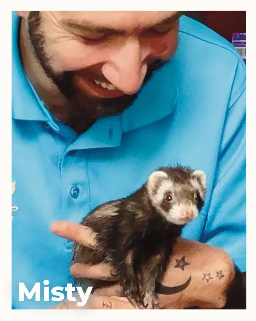 A female ferret