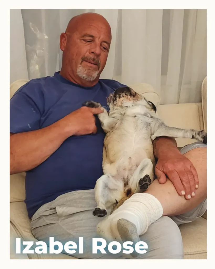 A female pug being gently hugged